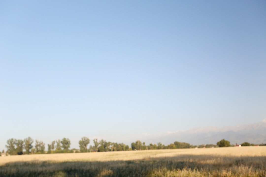 Photo support programs for rural areas