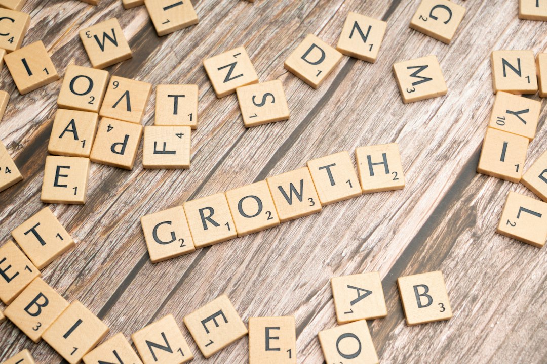 Photo Polish IT sector growth